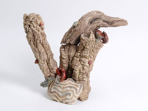 clicca sull'immagine per ingrandirla