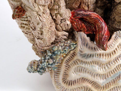 clicca sull'immagine per ingrandirla