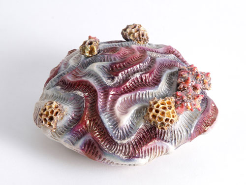 clicca sull'immagine per ingrandirla