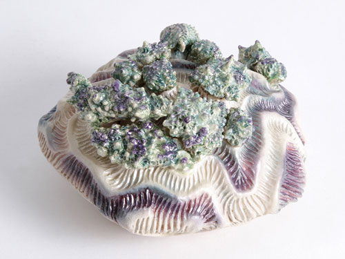 clicca sull'immagine per ingrandirla