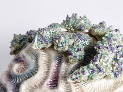 clicca sull'immagine per ingrandirla