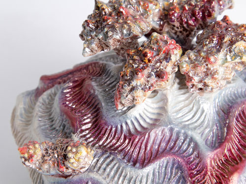 clicca sull'immagine per ingrandirla