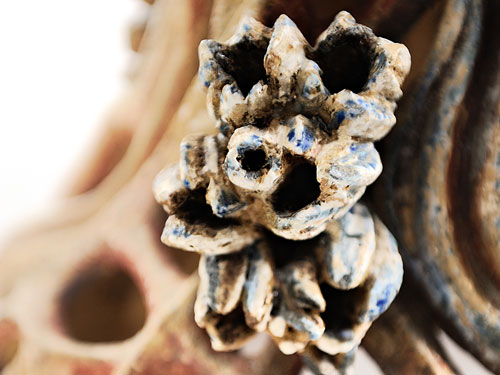 clicca sull'immagine per ingrandirla