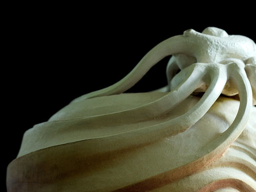 clicca sull'immagine per ingrandirla