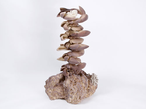 clicca sull'immagine per ingrandirla