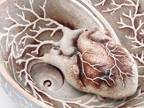 clicca sull'immagine per ingrandirla