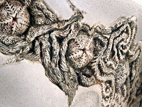 clicca sull'immagine per ingrandirla