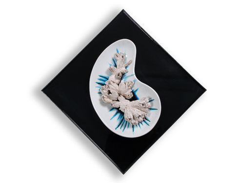 clicca sull'immagine per ingrandirla