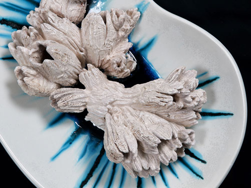 clicca sull'immagine per ingrandirla