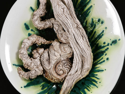 clicca sull'immagine per ingrandirla