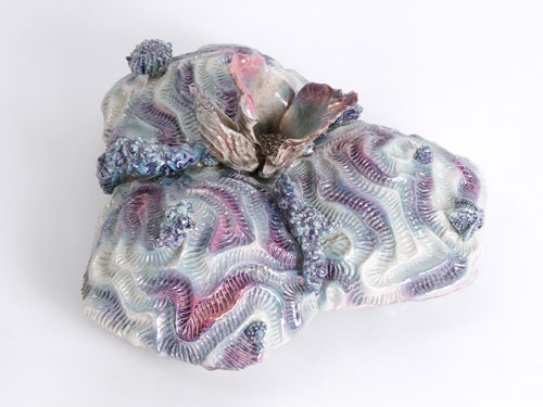 clicca sull'immagine per ingrandirla